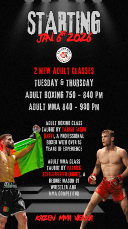 Kaizen MMA Vienna