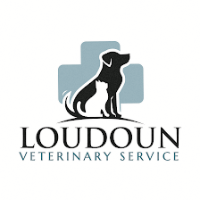 Loudoun Veterinary Service, Inc