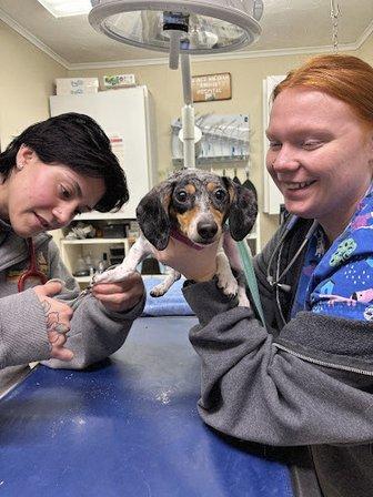 Prince William Animal Hospital
