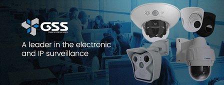 Global Surveillance System Inc