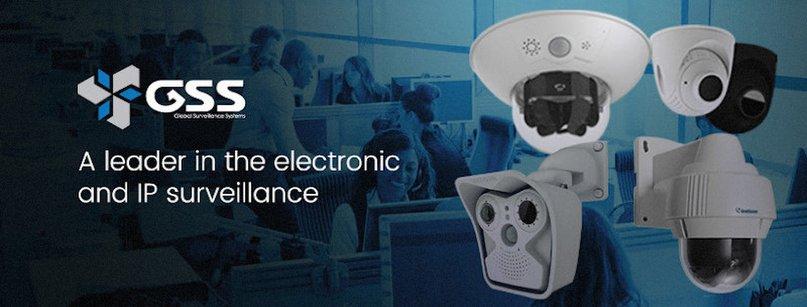 Global Surveillance System Inc