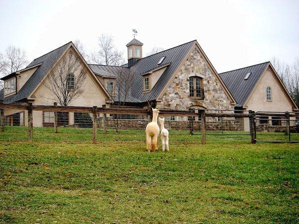 Mary's Alpaca At Cedar Hill Farm