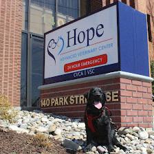 Hope Advanced Veterinary Center