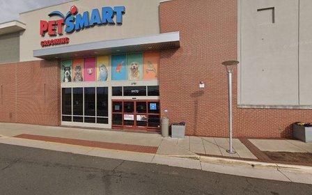 PetSmart Dog Training