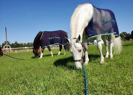 Eight Oaks Inc