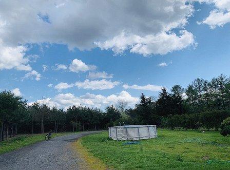 Ticonderoga Farms