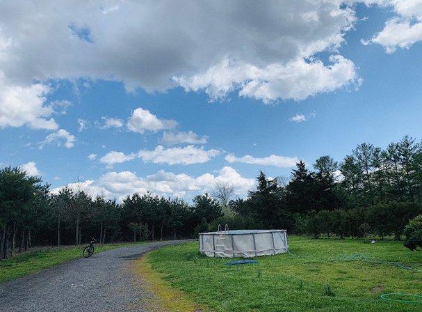 Ticonderoga Farms