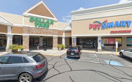 PetSmart Dog Training