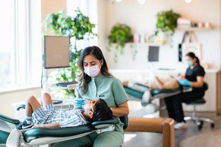 Treehouse Pediatric Dentistry of Chantilly