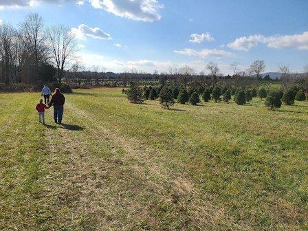 Milltown Creek Tree Farms