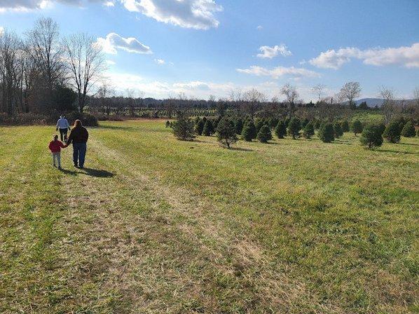 Milltown Creek Tree Farms