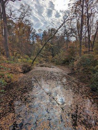 Clifton Haunted Trail