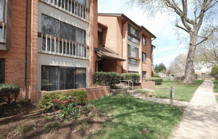 Lynn Norusis, REALTOR | FOCUS on NoVA Real Estate® Team | Northern Virginia Real Estate | Century 21 Redwood Realty