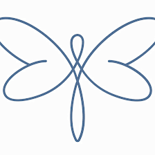 Transition Physical Therapy, LLC