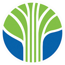 Learning Tree International