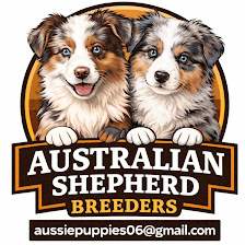 Australian Shepherd Breeders