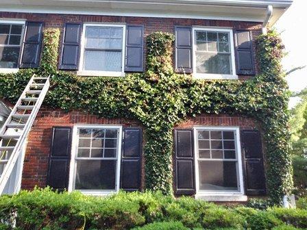 JSL Landscaping & Tree Services LLC