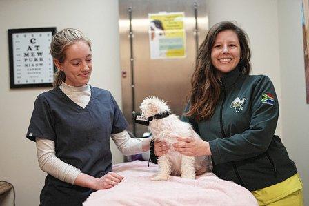 Hope Advanced Veterinary Center