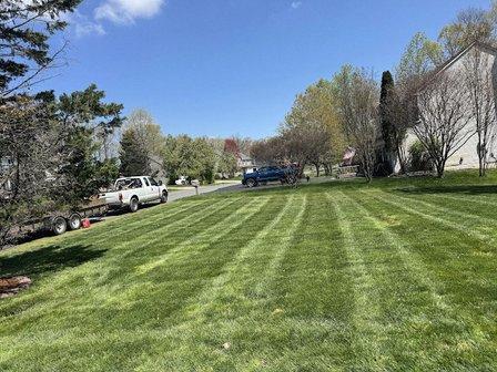 Lawn Care Services & Irrigation LLC