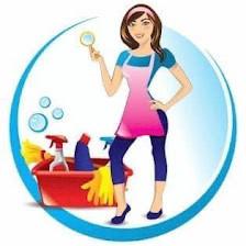 Blandi's Cleaning Services