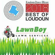 LawnBoy Lawn Services