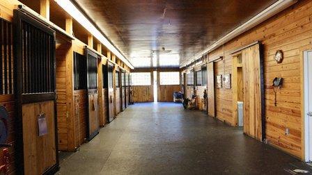 Piedmont Equine Practice