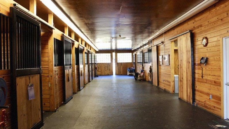 Piedmont Equine Practice