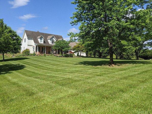 Matt Eyre's Lawn Care