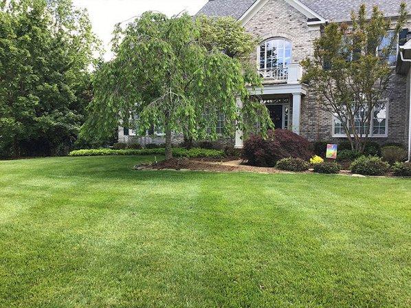 Turf Landscaping LLC - Marines Grass Garden LLC