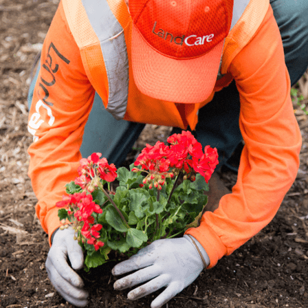 LandCare