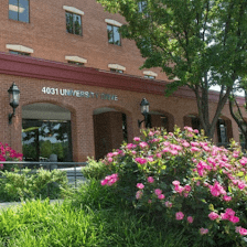Wadsworth Lawn & Landscape, LLC