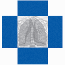 Pulmonary and Critical Care Specialists of Northern Virginia, P.C.