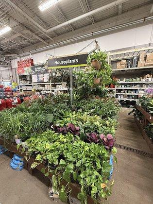 Garden Center at The Home Depot