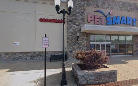 ShotVet @ PetSmart