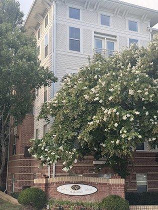 The Marquis at Vienna Station Condominium