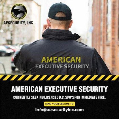 AESecurity, Inc.