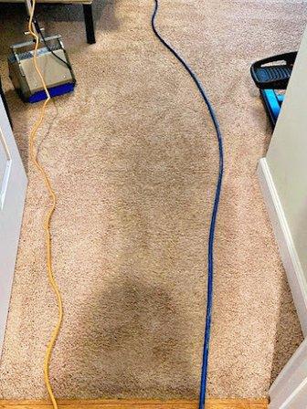 Opal Carpet Cleaning Services