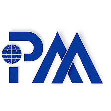 Professional Multiservices LLC