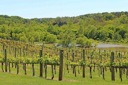 Goose Creek Farms & Winery LLC