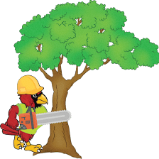 Cardinal Tree Service LLC