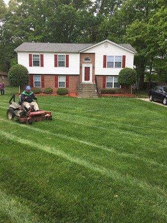 Wadsworth Lawn & Landscape, LLC
