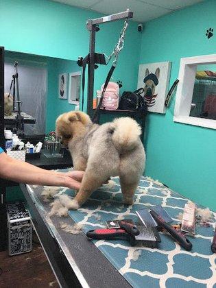 Coco Clips Dog Grooming