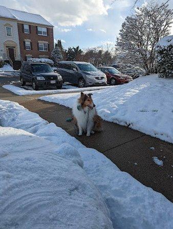 Fox Chase Condominiums