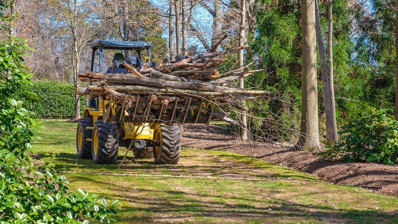 Freedom Tree Service, Inc.