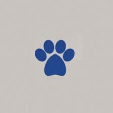 Animal Au Paws, Inc.