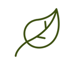 Ellis Services Inc