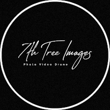 7th Tree Images