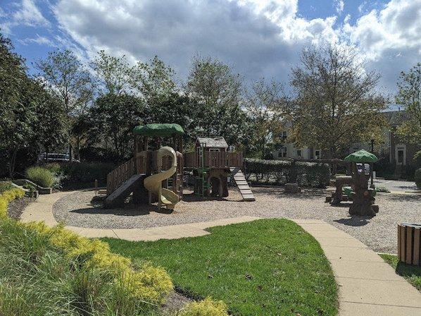 Owen/treehouse Park