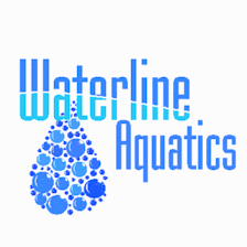 Waterline Aquatics