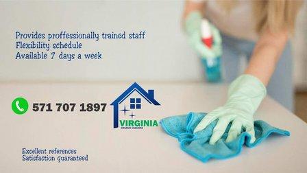 Virginia Organic Cleaning